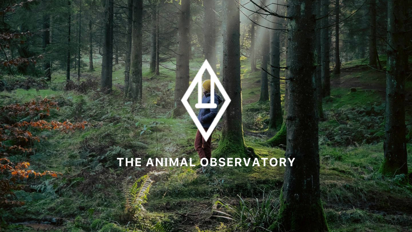 THE ANIMALS OBSERVATORY – ANOKO.｜海外子供服のセレクトショップ