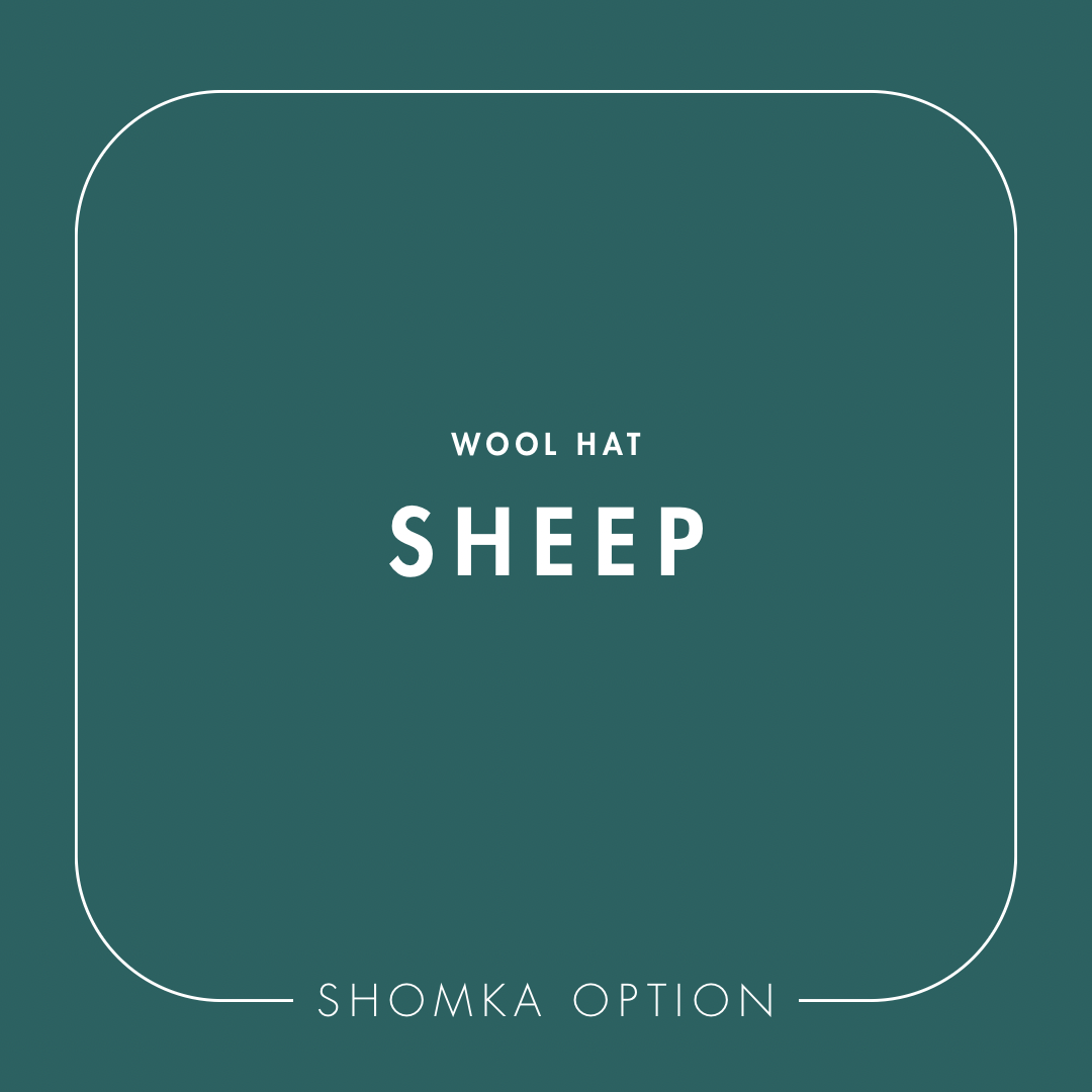 【SHÓMKA】option / type (wool hat)