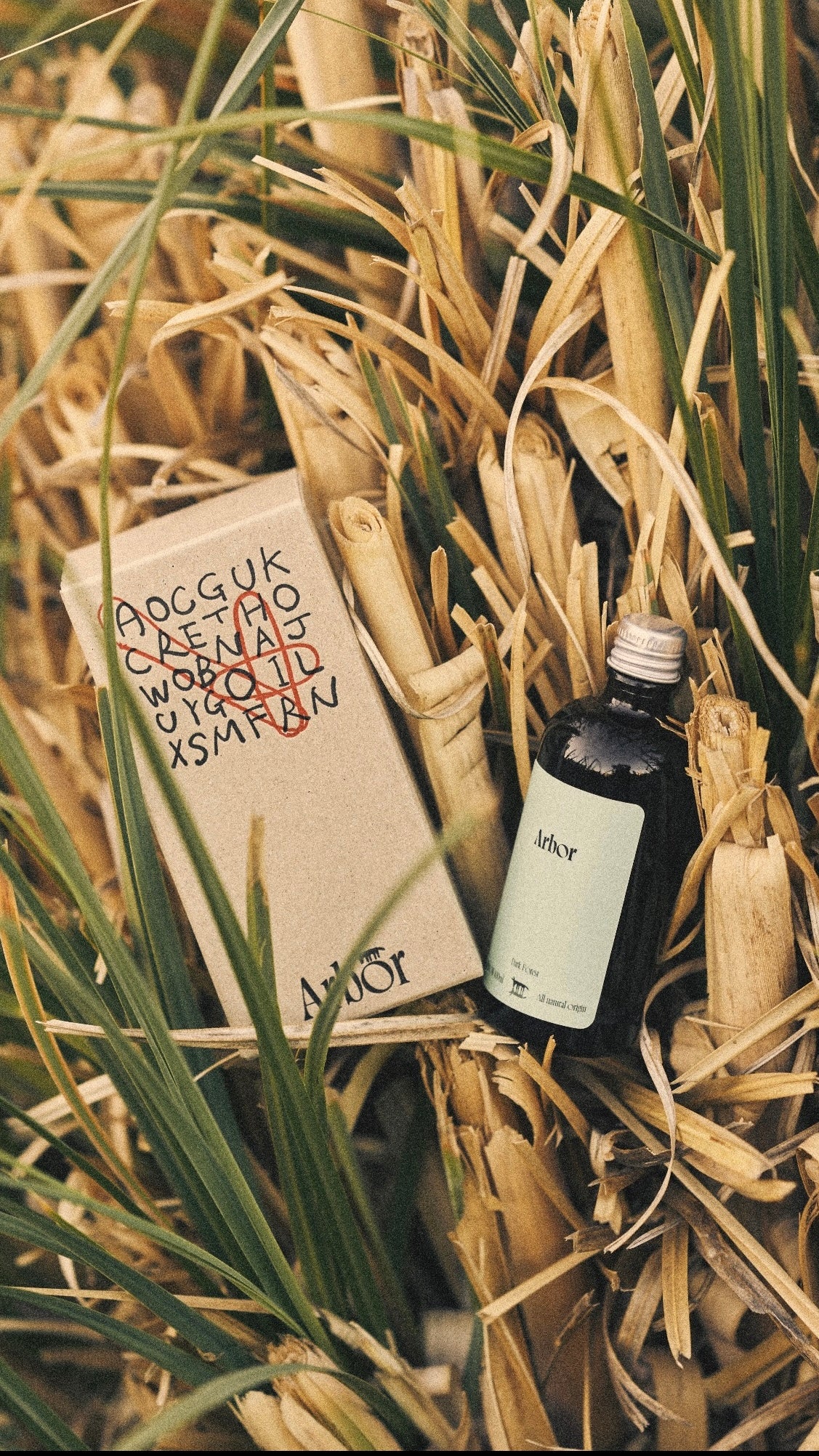 Arbor Hair Oil - Wood Citrus (100ml)