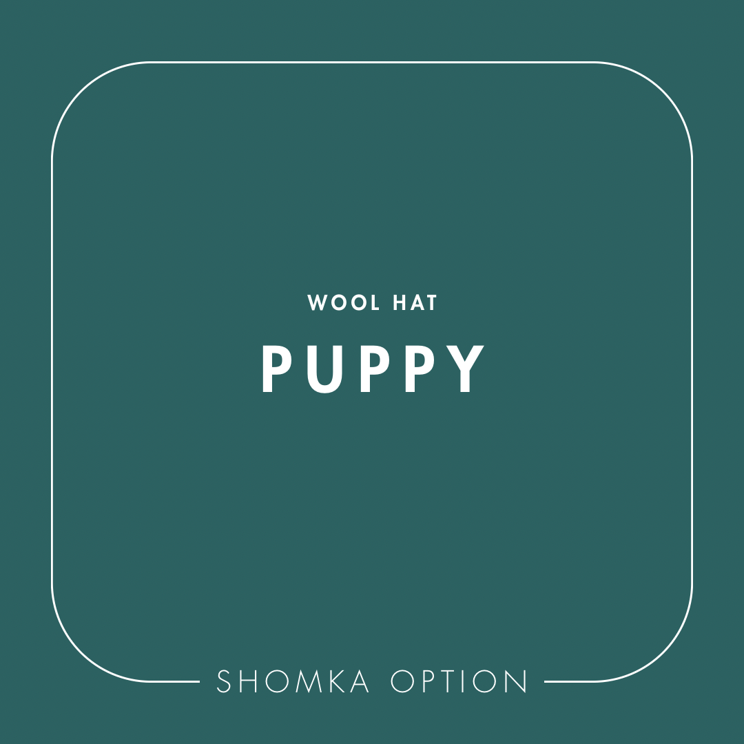 【SHÓMKA】option / type (wool hat)