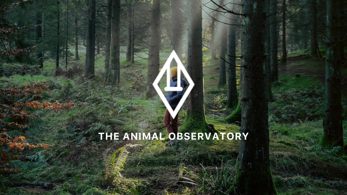THE ANIMALS OBSERVATORY