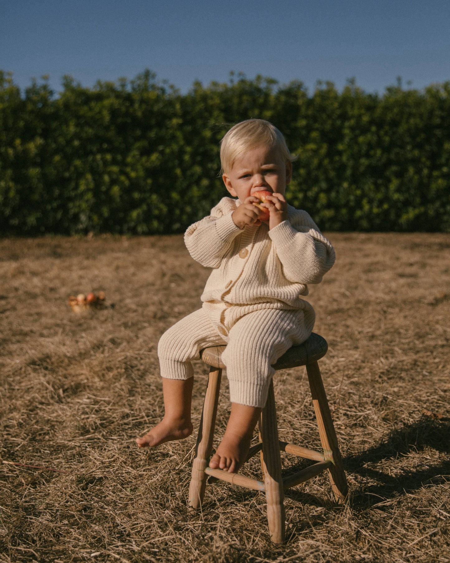 Button knit jumpsuit - Brown [EARTH THE ARCHIVE] (26AW)