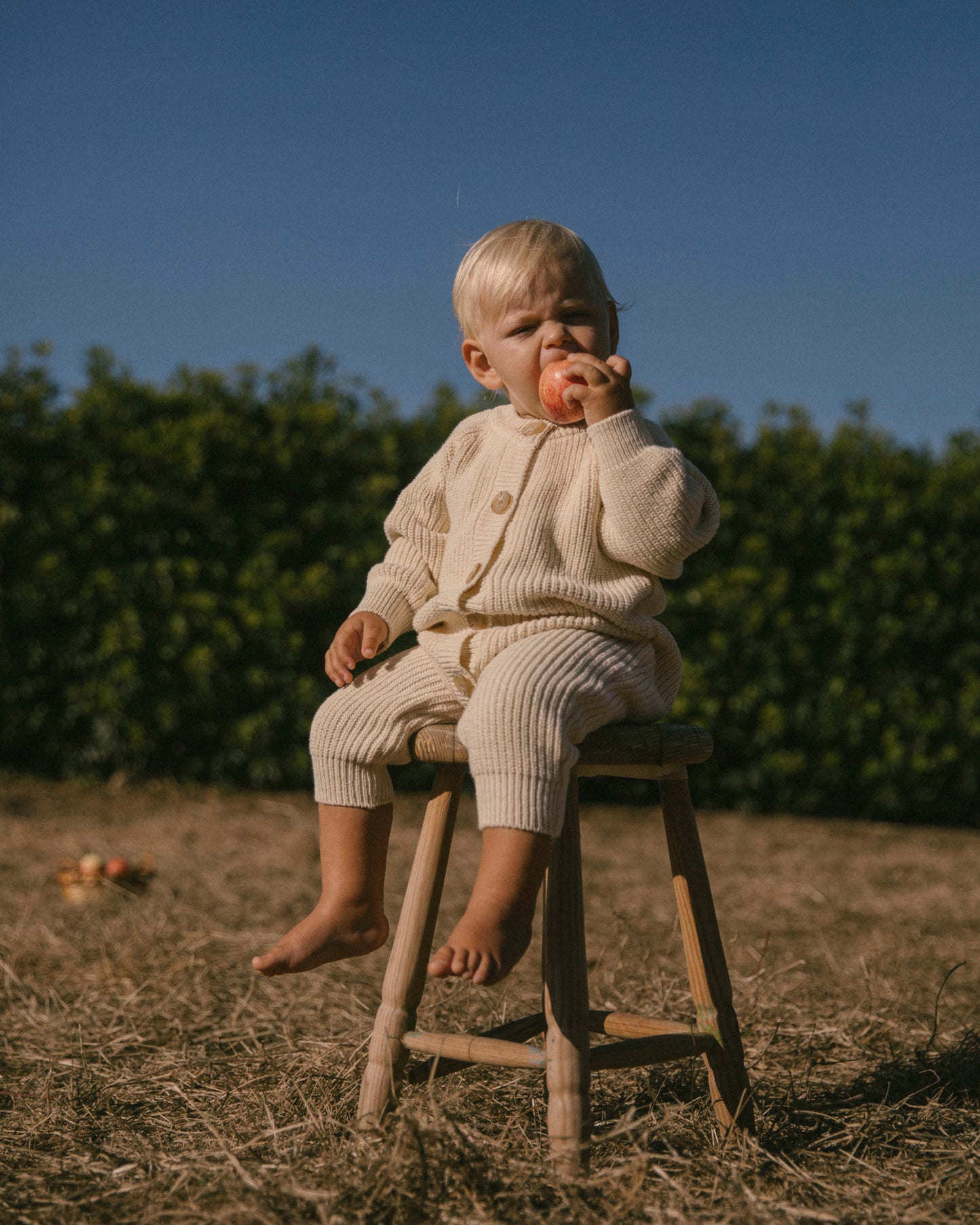 Button knit jumpsuit - Brown [EARTH THE ARCHIVE] (26AW)
