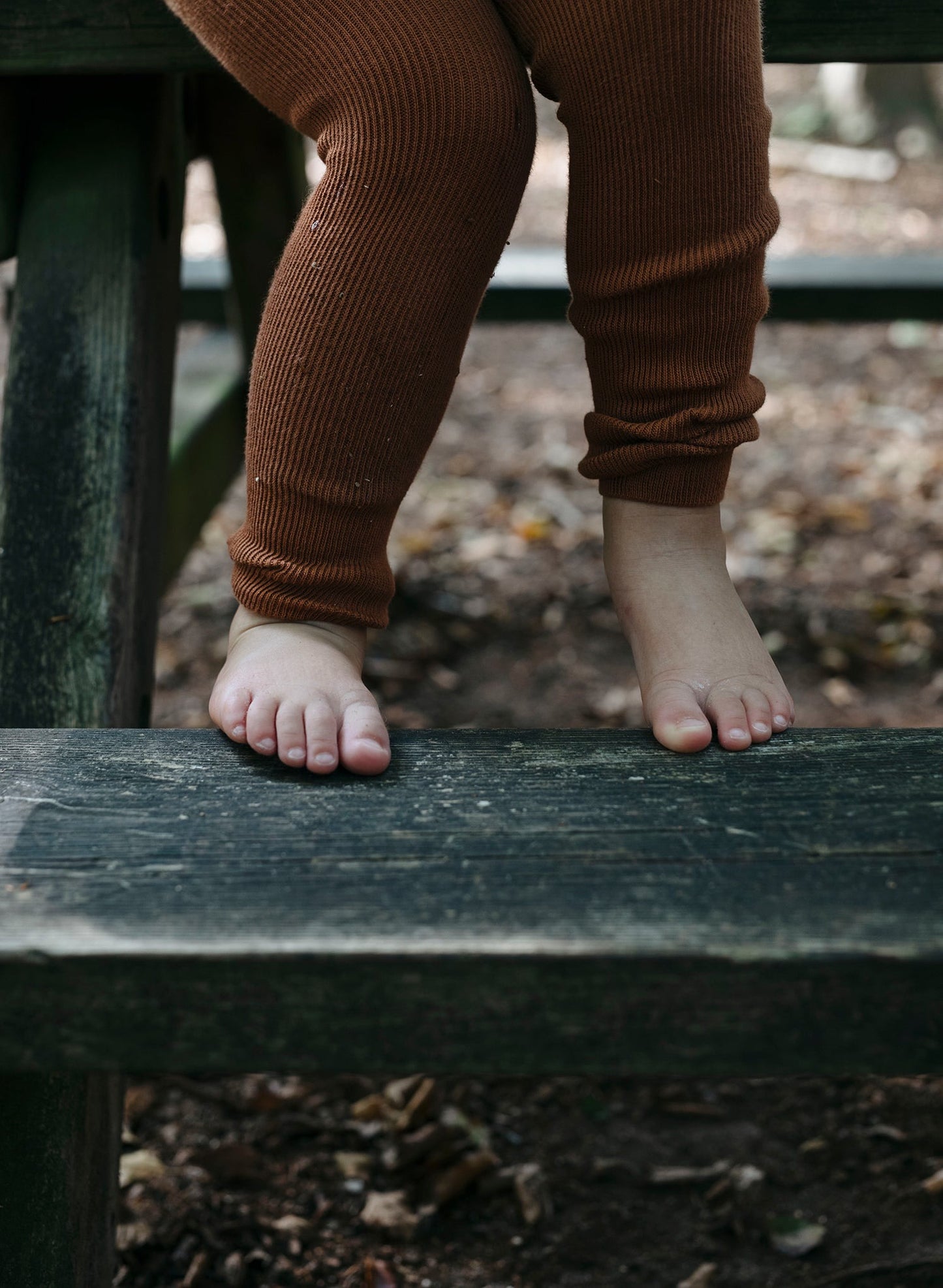 Retro Ribbed Footless Tights  - Cinnamon [SILLY Silas]