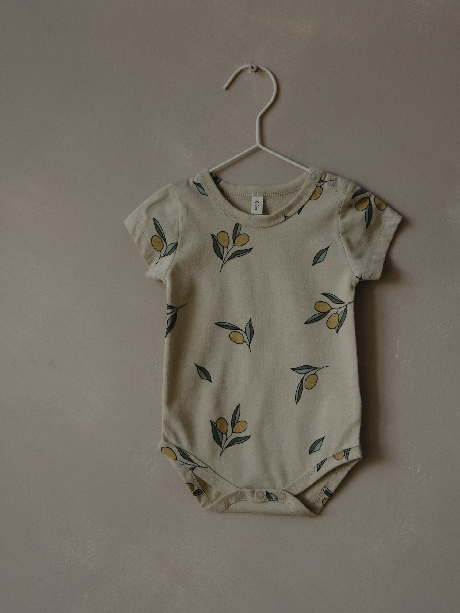 Olive Garden Short Sleeve Bodysuit [organic zoo] (core collection)