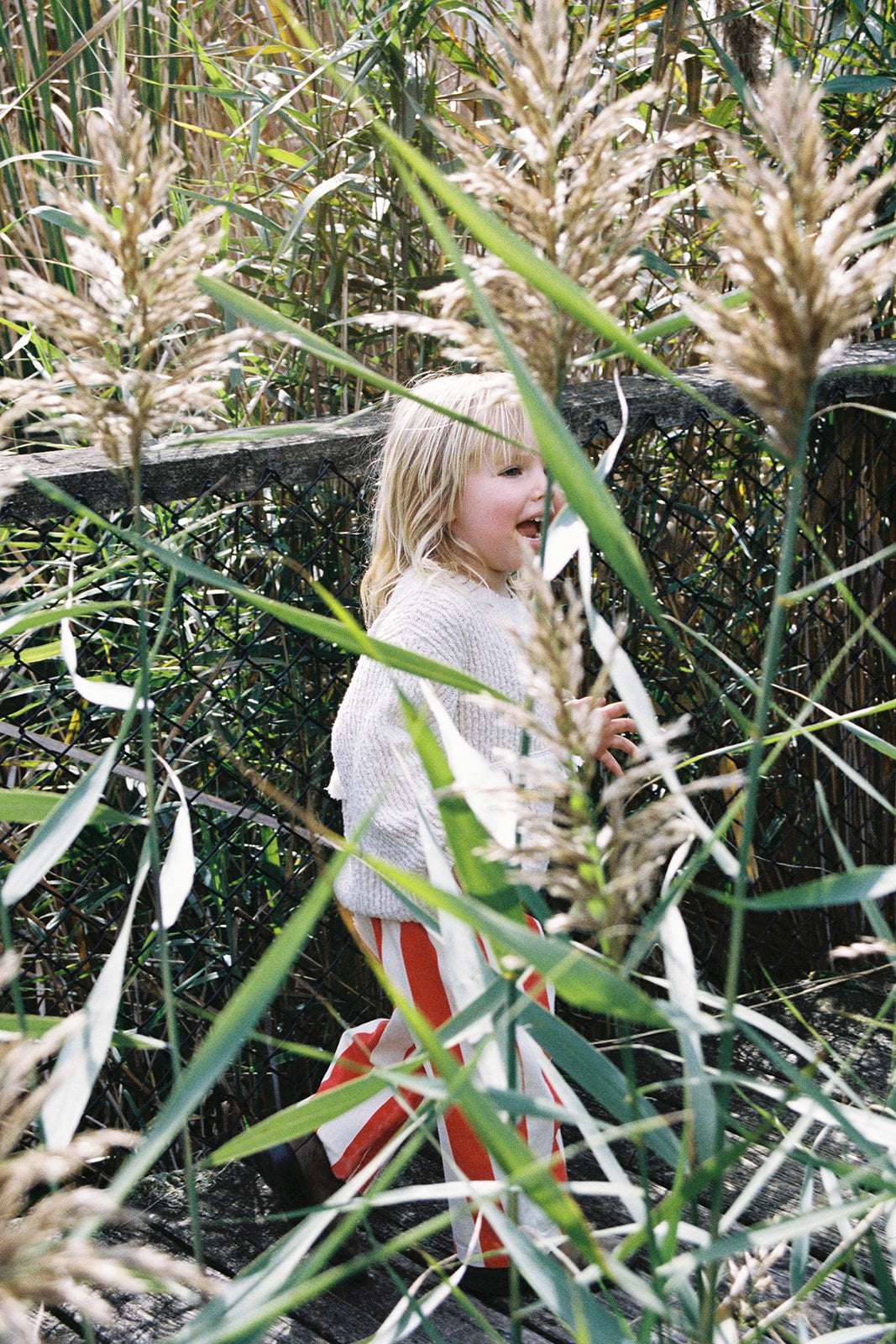 Organic Fringe Rib Knit Pull Over - Natural [GROWN] (26AW)drop3