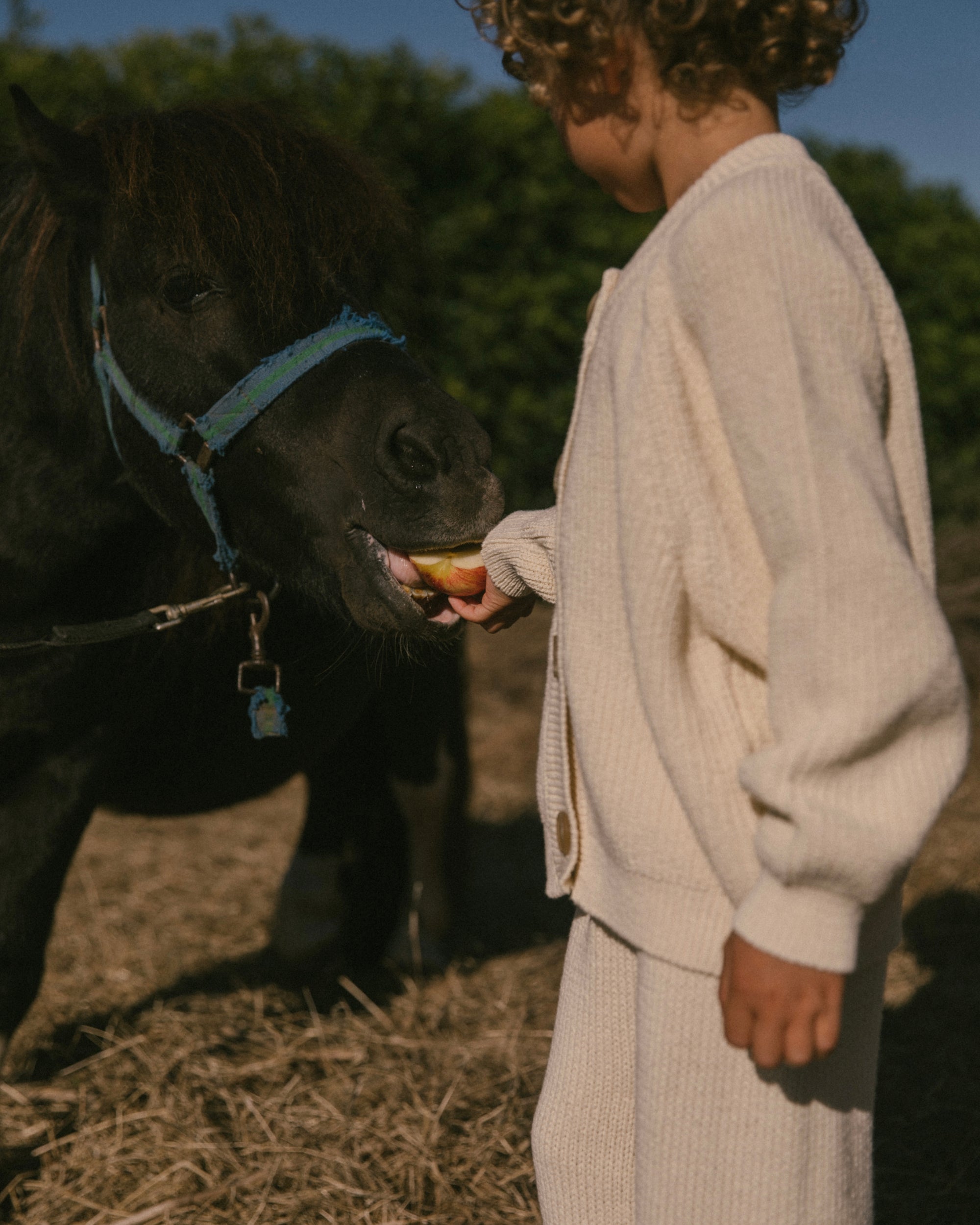 Knit cardigan - Cream [EARTH THE ARCHIVE] (26AW)