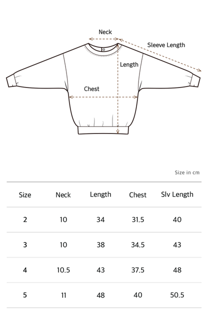 【緊急オーダー会】 Volume Sweatshirts [EARTH THE ARCHIVE]【2025年10月上旬以降発送予定】