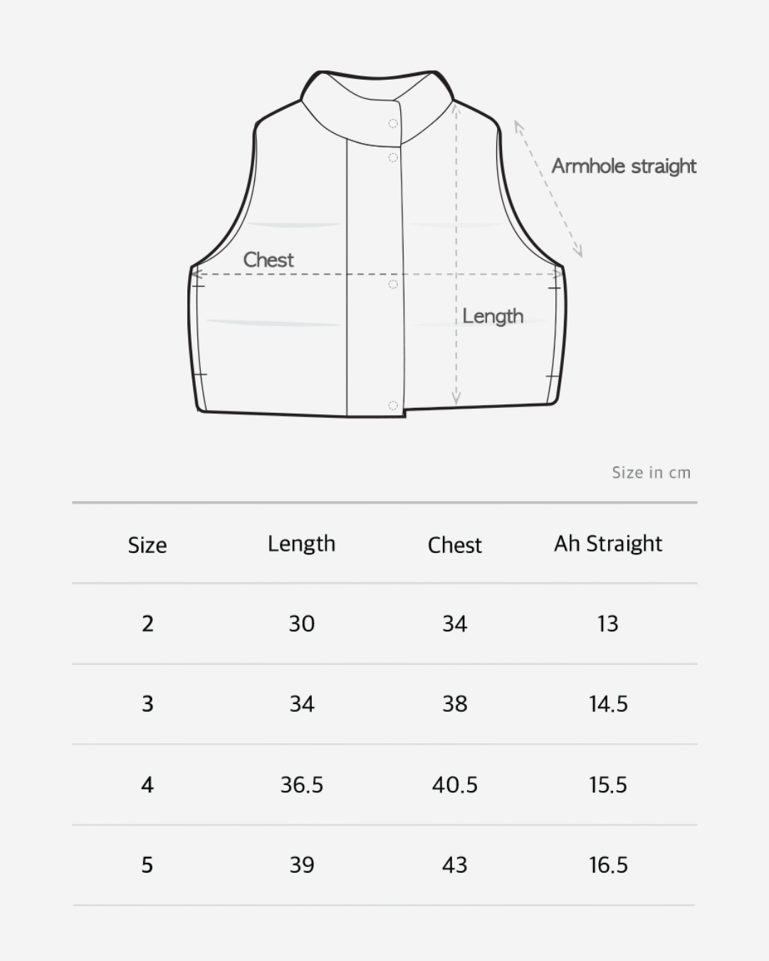 Padded vest - Brown [EARTH THE ARCHIVE] (26AW)