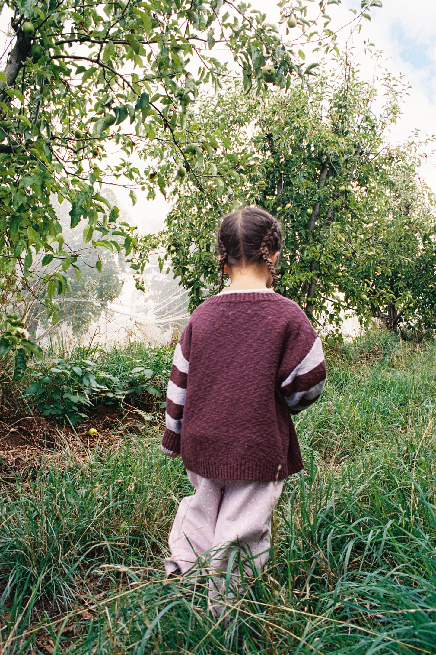 Bloom Knit Pull Over - Plum [GROWN] (26AW) drop2