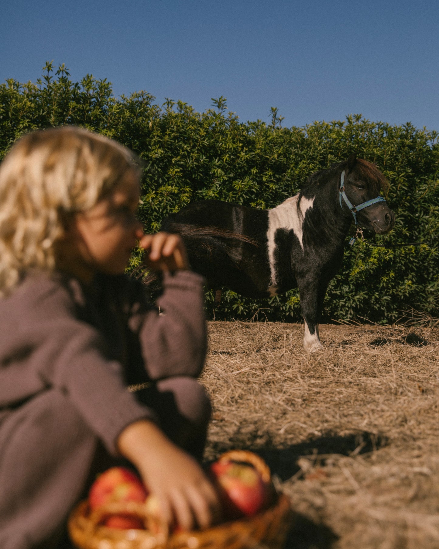 Knit bottom - Light Olive [EARTH THE ARCHIVE] (26AW)
