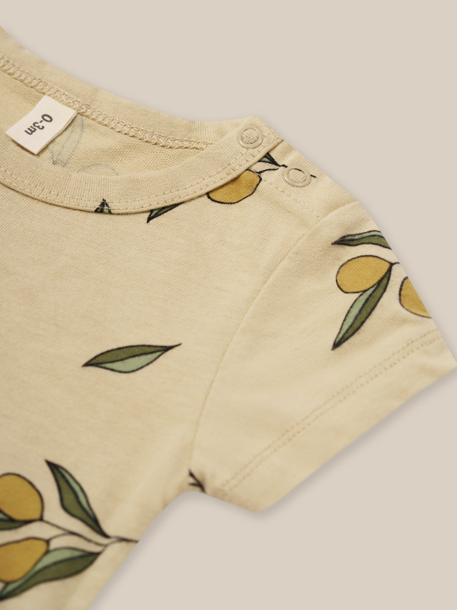 Olive Garden Short Sleeve Bodysuit [organic zoo] (core collection)