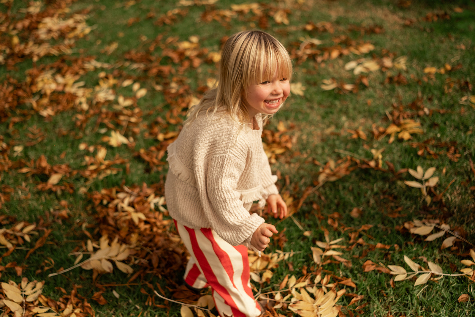 Organic Fringe Rib Knit Pull Over - Natural [GROWN] (26AW)drop3