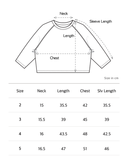 Raglan T-shirt - Ecru Cream [EARTH THE ARCHIVE] (26AW)