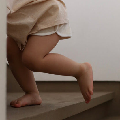 【26年11月オーダー会】 Dolphin Shorts [EARTH THE ARCHIVE] (全5色) 【2026年3月上旬以降お届け予定】