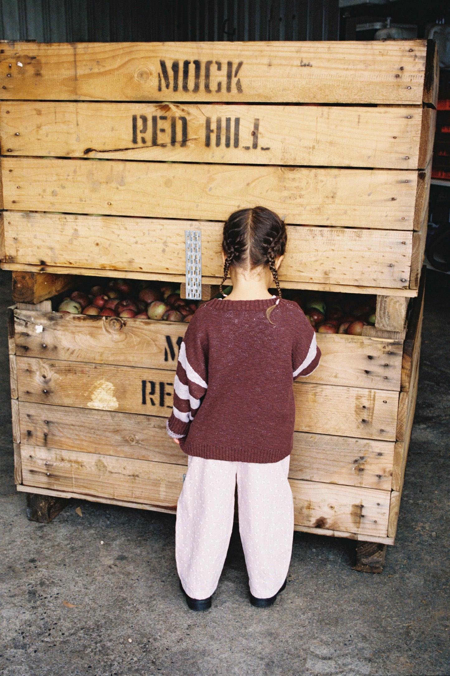 Bloom Knit Pull Over - Plum [GROWN] (26AW) drop2