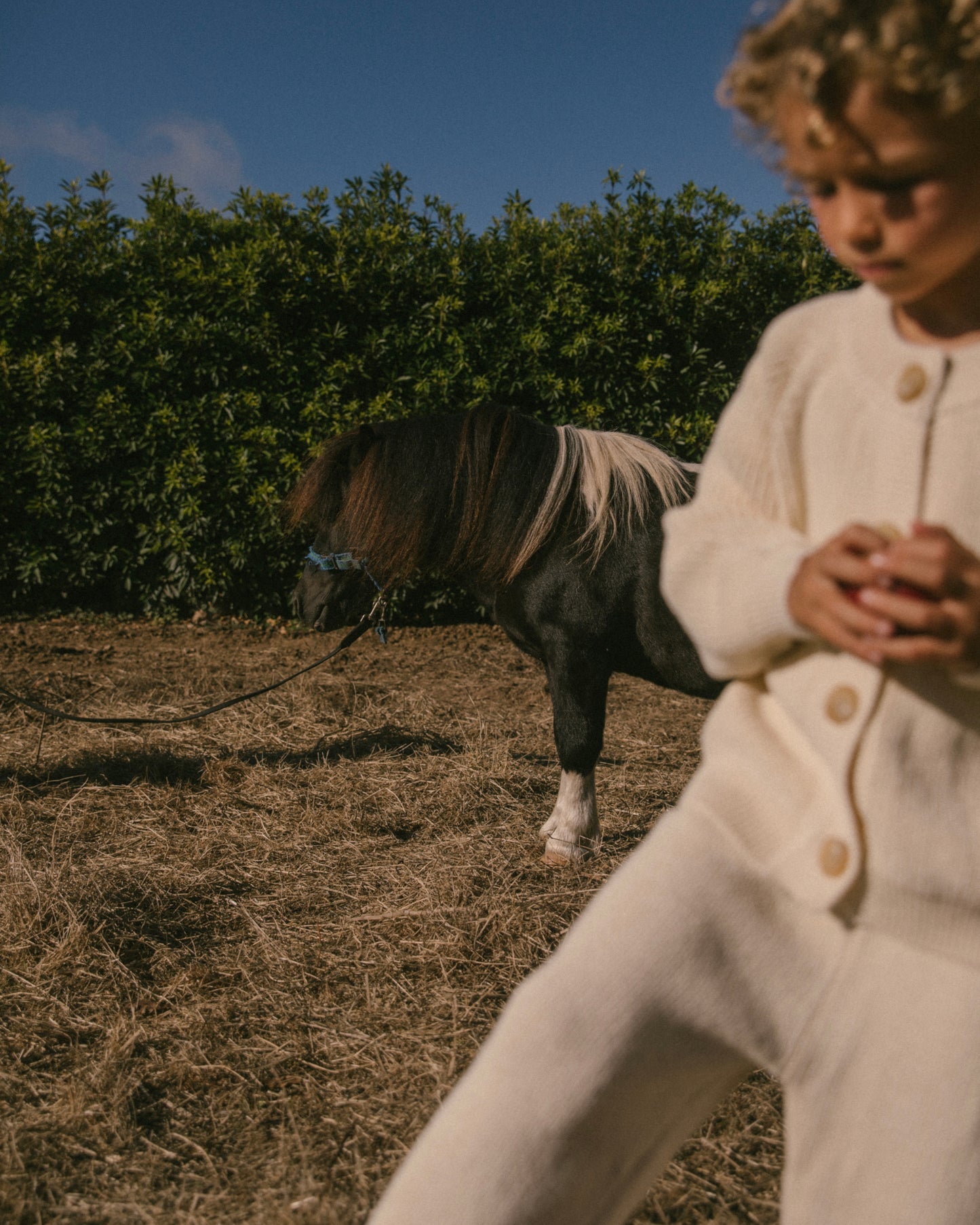 Knit bottom - Light Olive [EARTH THE ARCHIVE] (26AW)