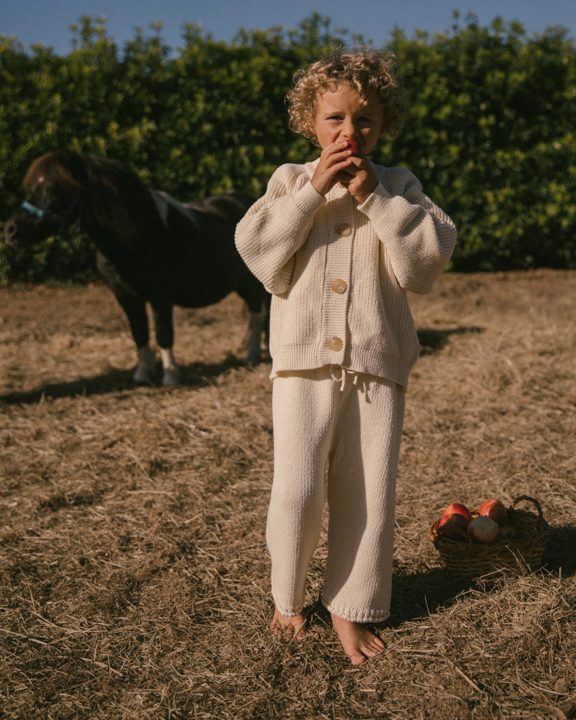 Knit cardigan - Cream [EARTH THE ARCHIVE] (26AW)