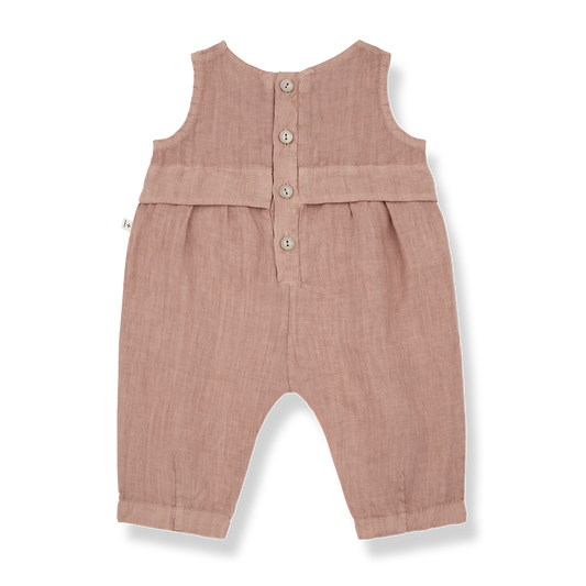 ALEXIA - tuscany [1+in the family] (25SS)