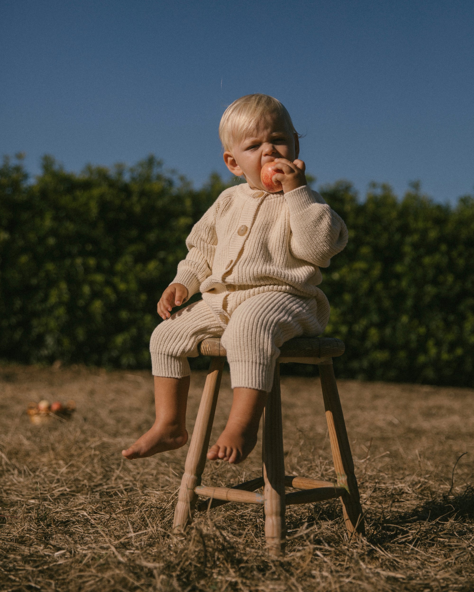 Knit cardigan - Cream [EARTH THE ARCHIVE] (26AW)