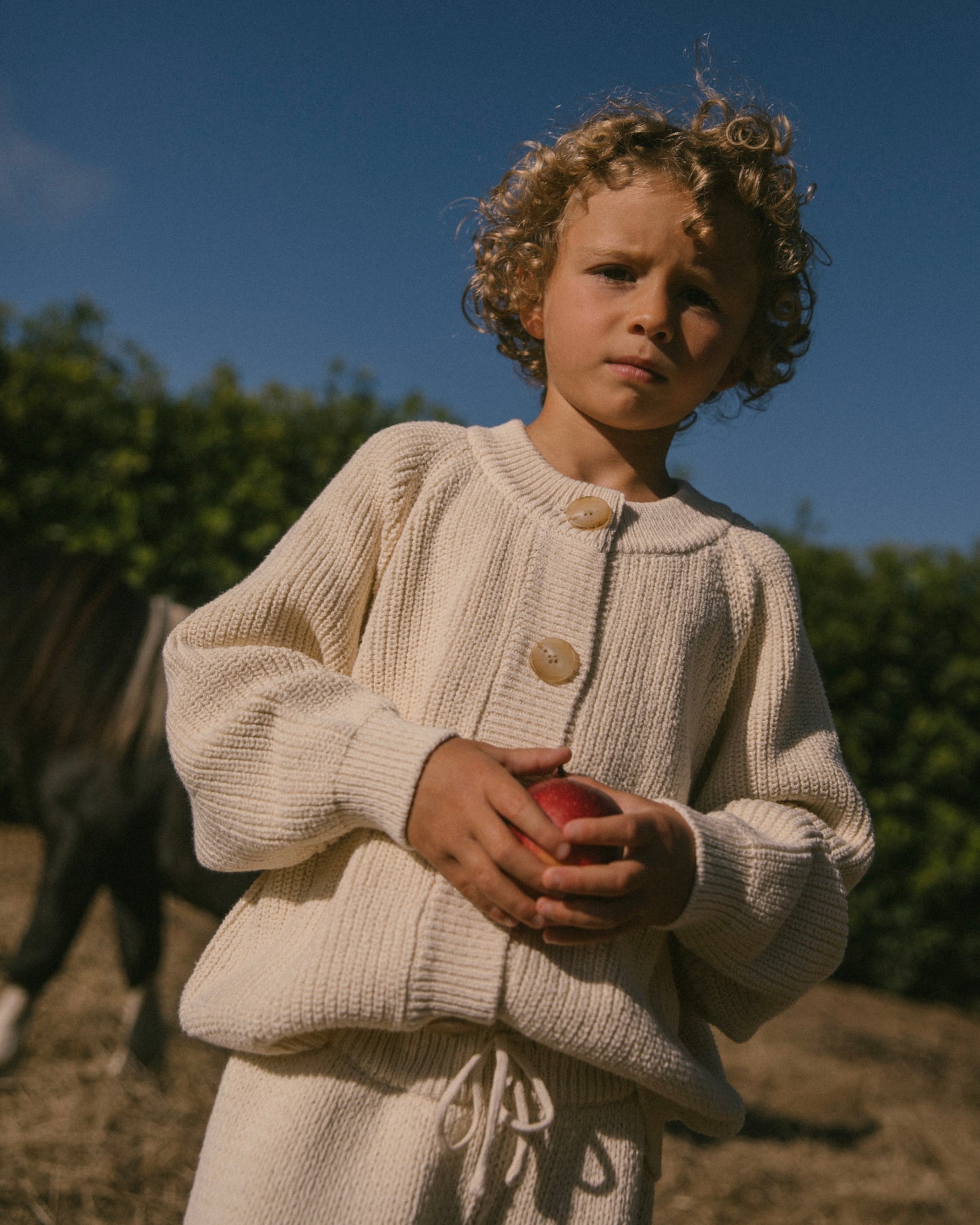 Knit cardigan - Cream [EARTH THE ARCHIVE] (26AW)