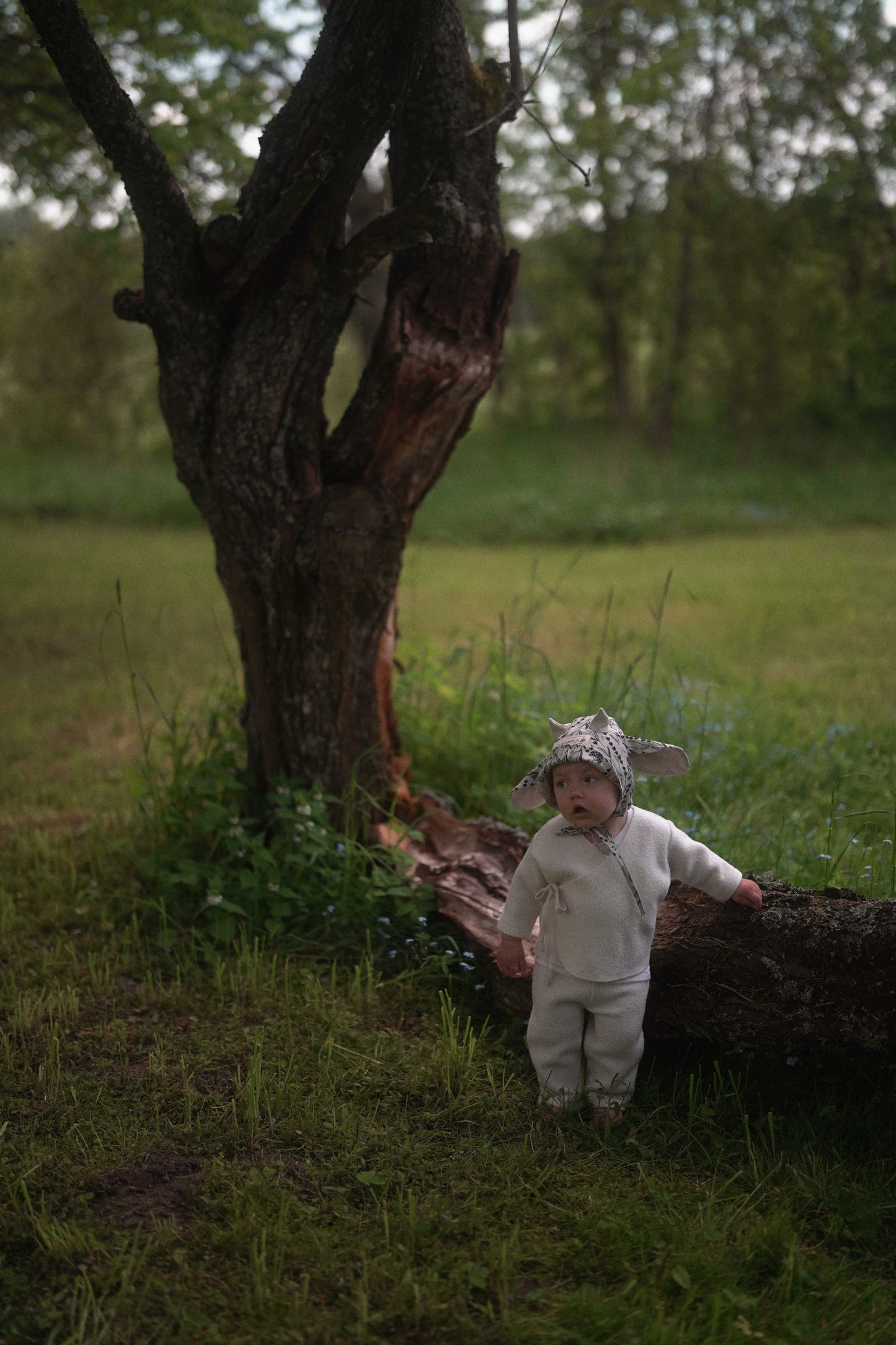 【オーダー会】'COW' LINEN BONNET [SHOMKA] 【2026年4月中旬以降順次発送】