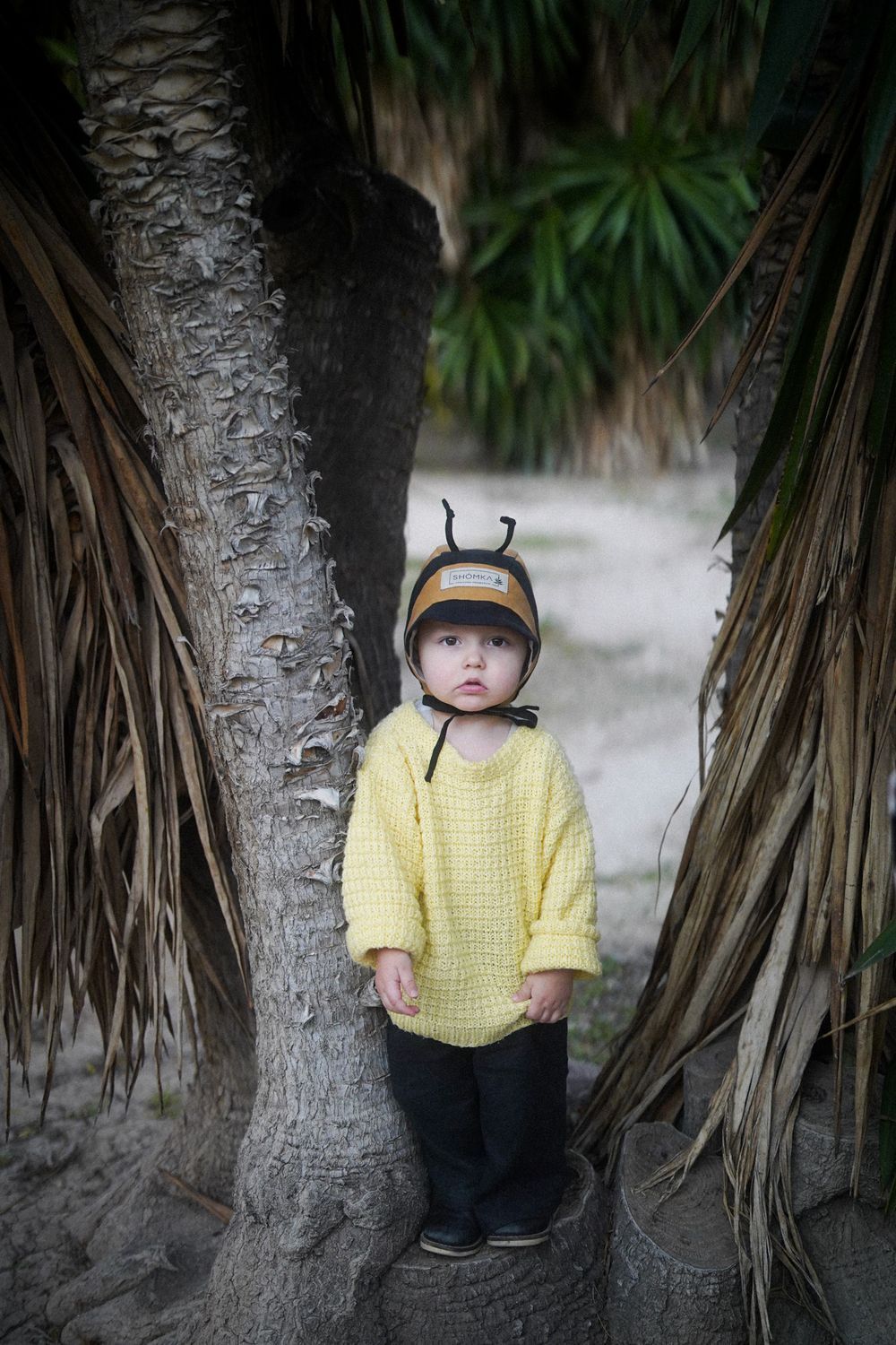 【オーダー会】'BUMBLEBEE' LINEN BONNET [SHOMKA] 【2026年5月下旬以降順次発送】