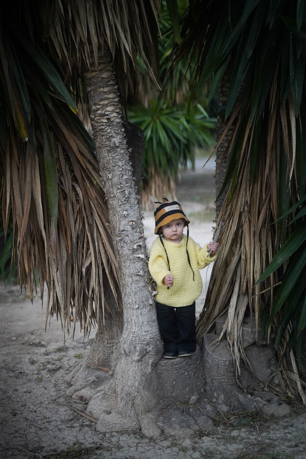 【オーダー会】'BUMBLEBEE' LINEN HAT [SHOMKA]【2026年5月初旬以降順次発送】