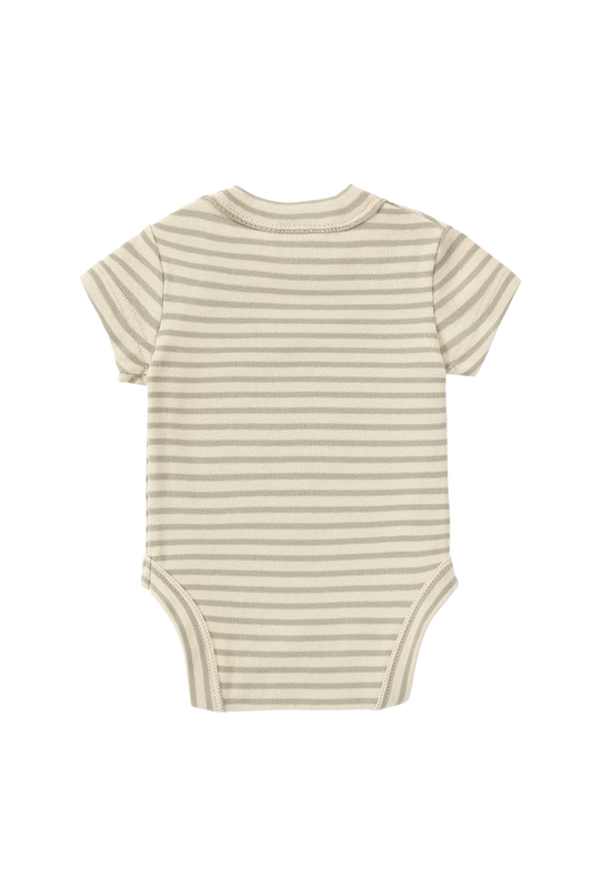 【予約商品】Classic Suit SS - Sage Stripes [SUSUKOSHI] (SS25)【2026年3月上旬以降順次発送】