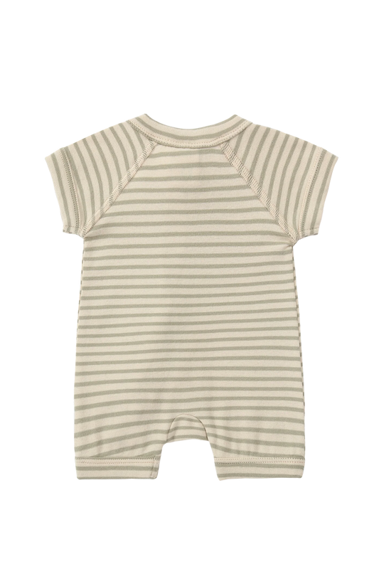 【予約商品】Zip Suit SS/S - Sage Stripes [SUSUKOSHI] (SS25)【2026年3月上旬以降順次発送】