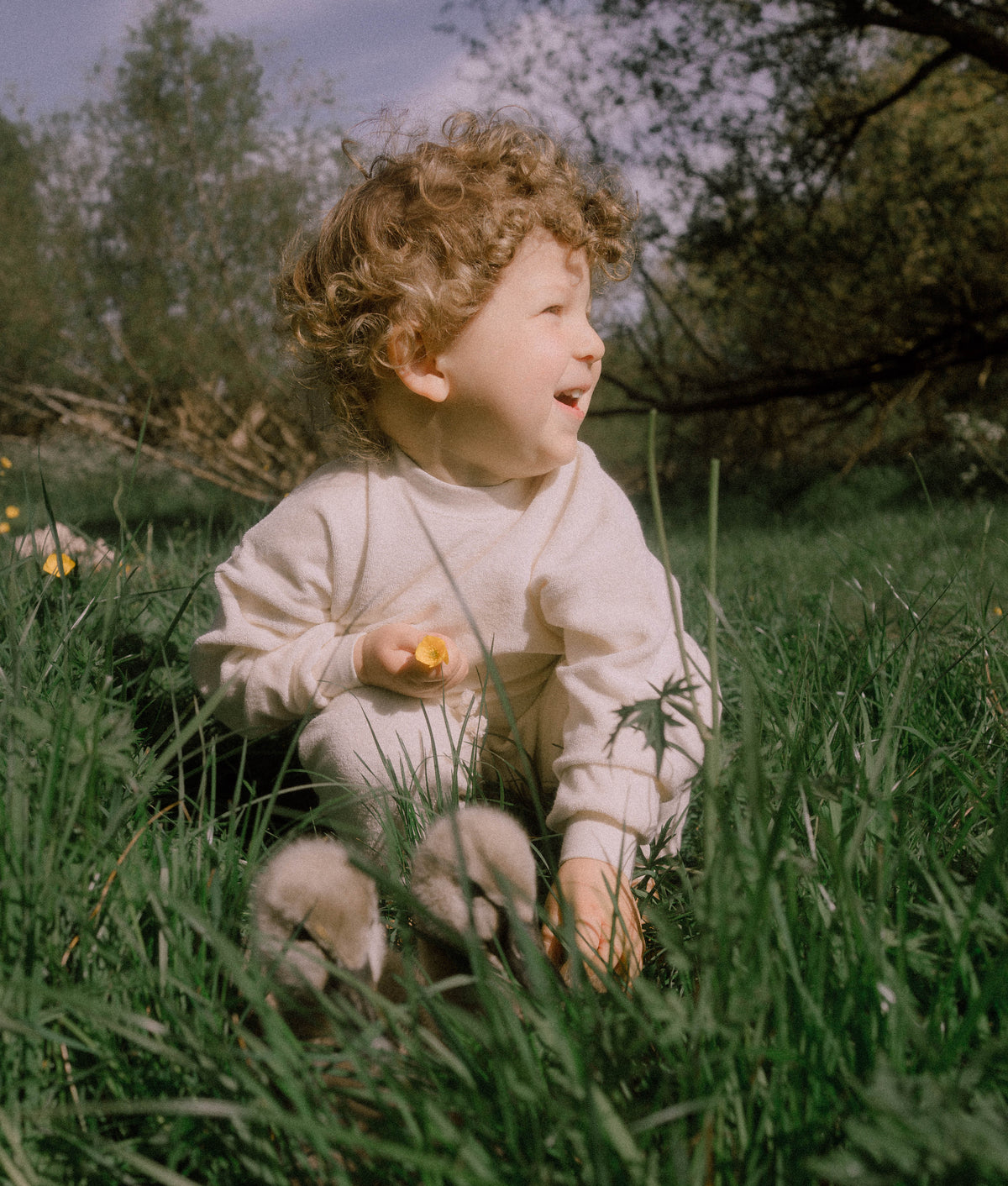 Volume Sweatshirts - Brown [EARTH THE ARCHIVE]