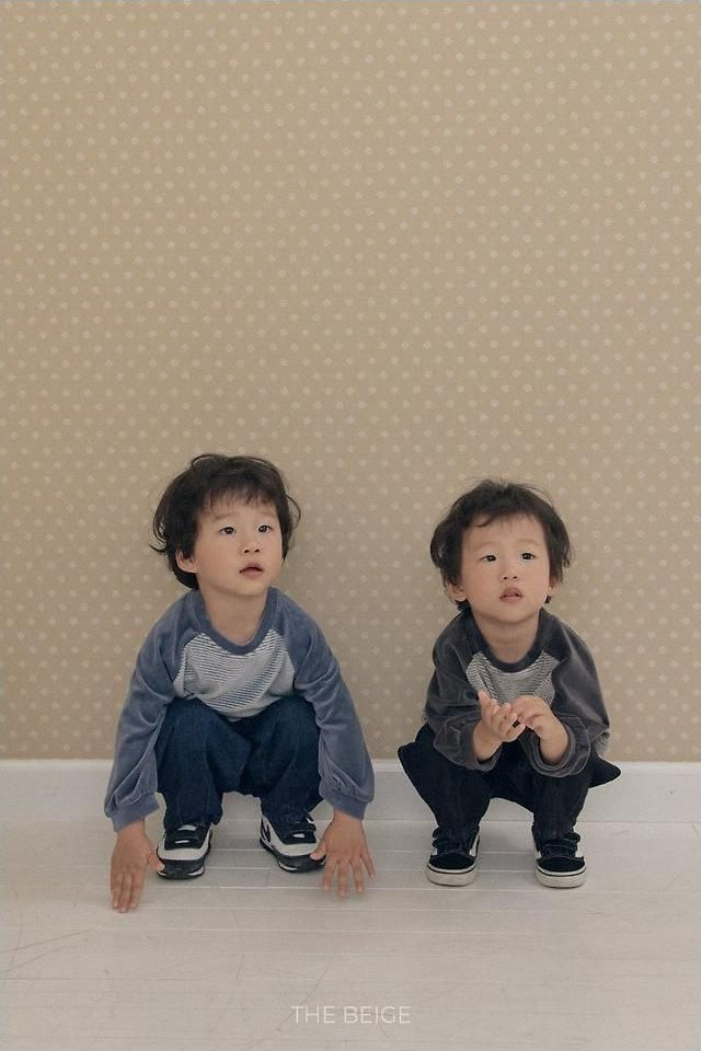 Velvet Stripe Tee [THE BEIGE]（2026AW） 3