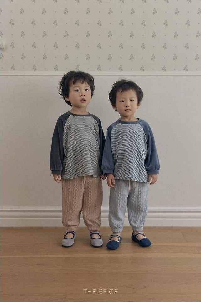 Velvet Stripe Tee [THE BEIGE]（2026AW） 13