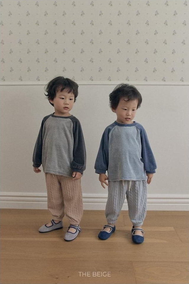 Velvet Stripe Tee [THE BEIGE]（2026AW） 16