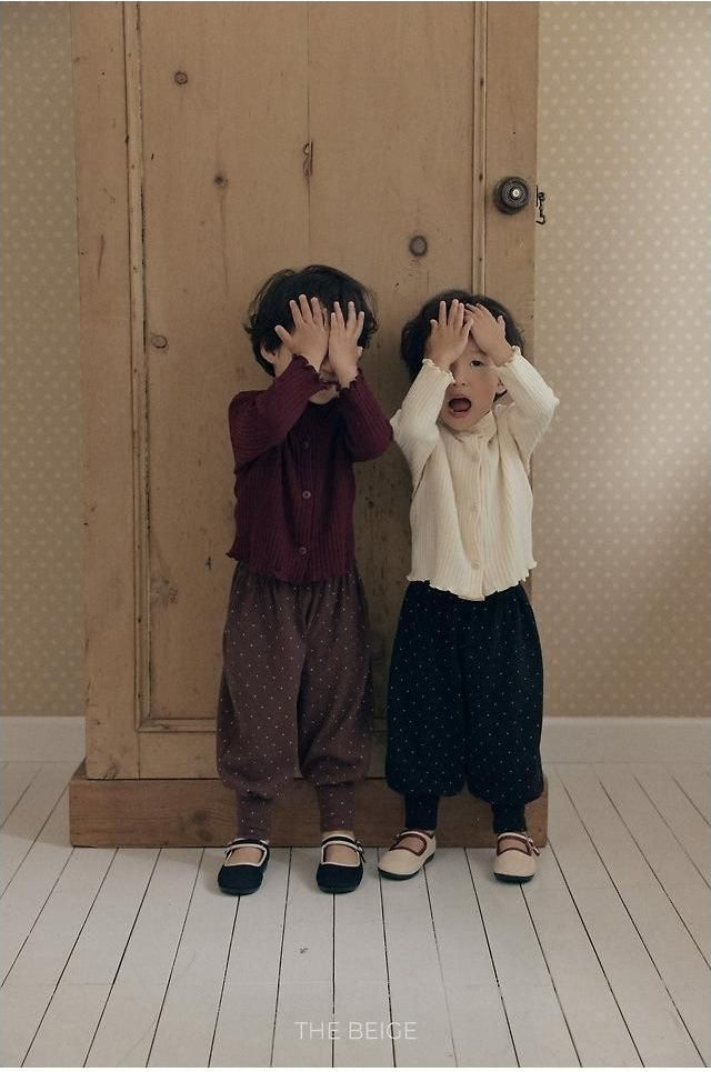 Aladdin Dot Pants [THE BEIGE]（2026AW） 8