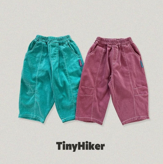 Pigment Oversized Dart Pants [tinyhiker]（2026AW） 2
