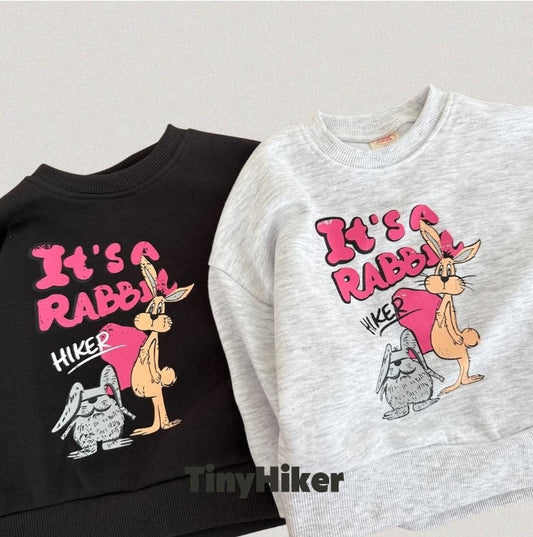 It's Rabbit Sweatshirt [tinyhiker]（2026AW） 2