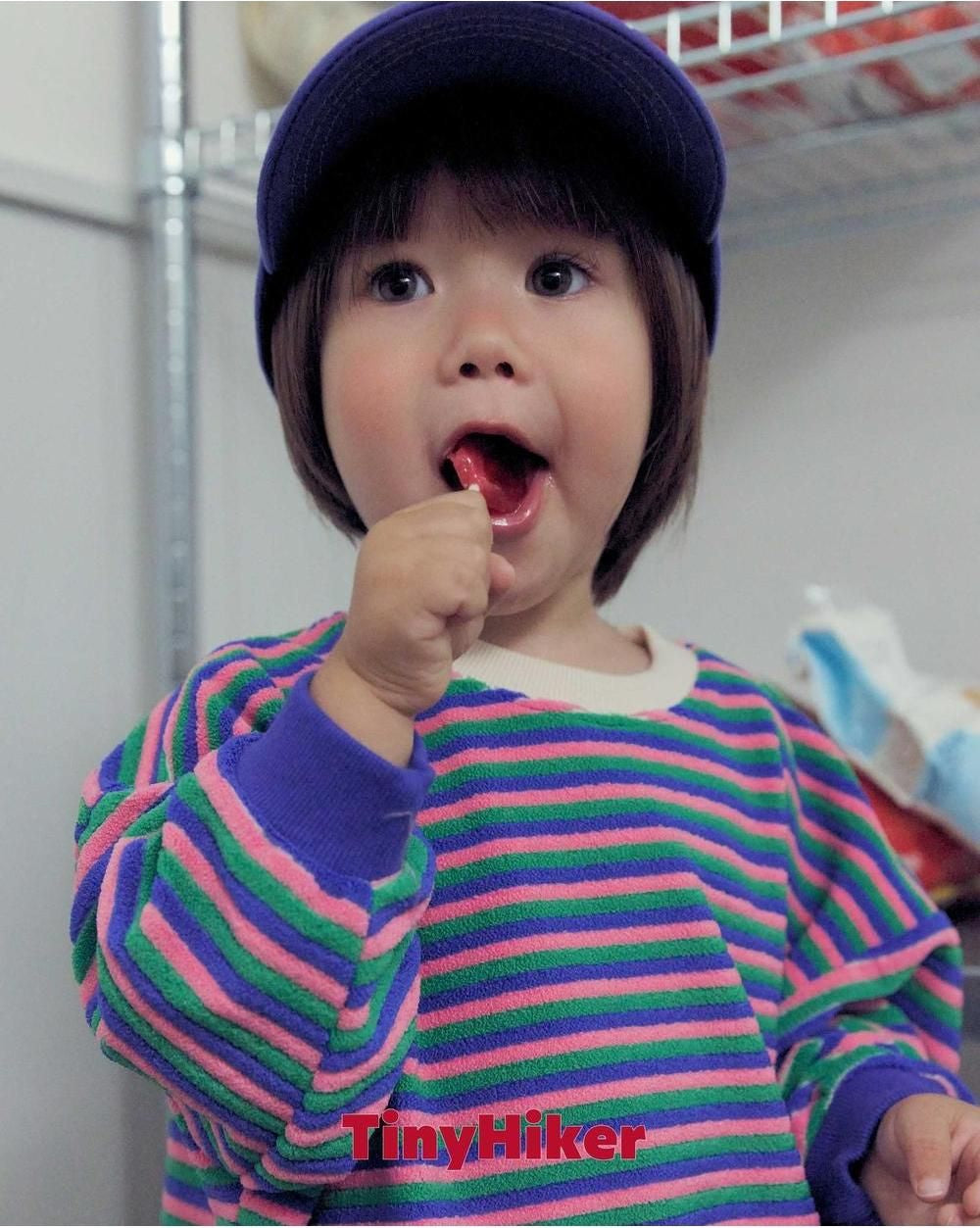 Sucre Terry Sweatshirt [tinyhiker]（2026AW） 12