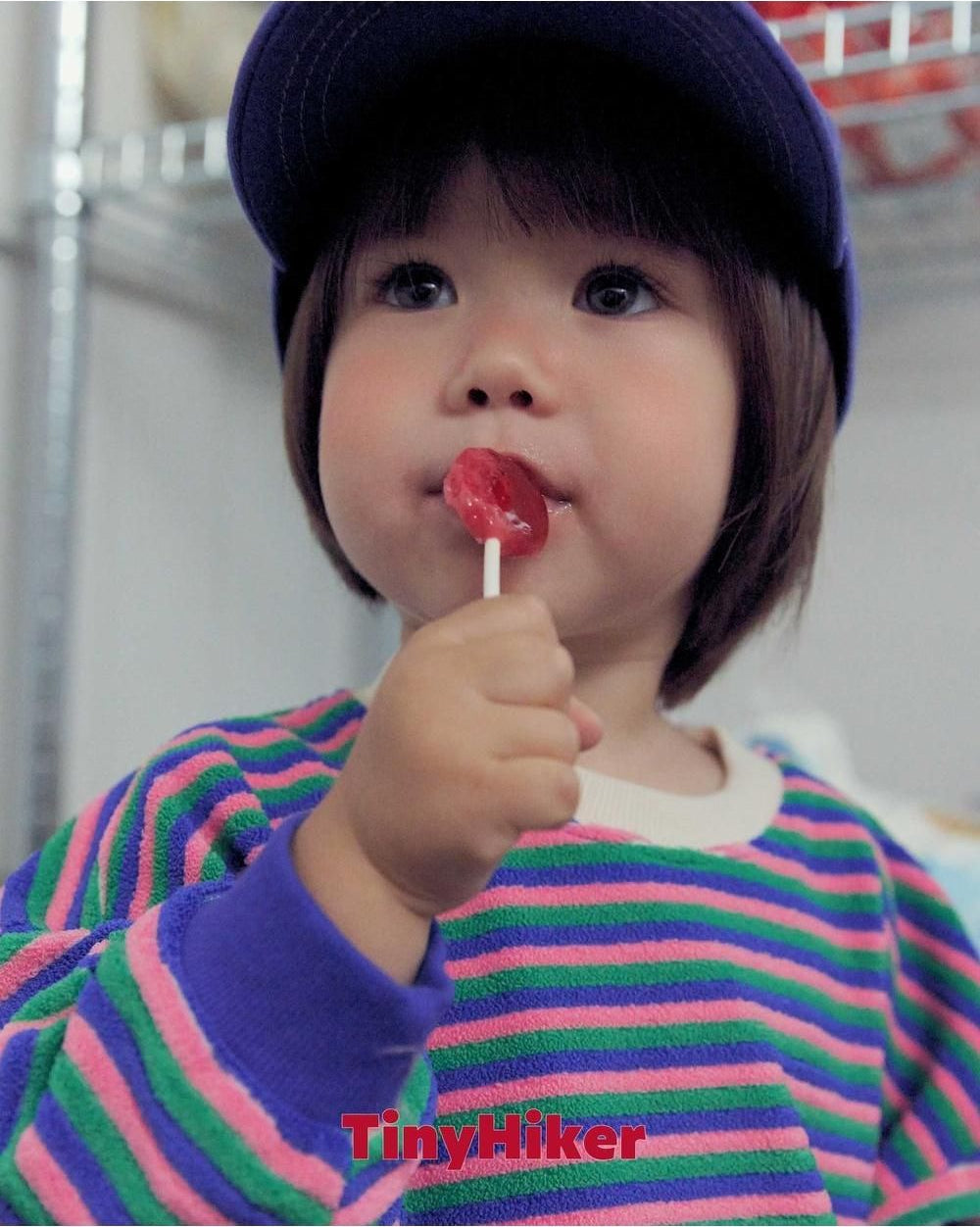 Sucre Terry Sweatshirt [tinyhiker]（2026AW） 13