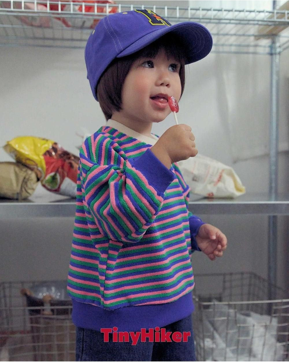 Sucre Terry Sweatshirt [tinyhiker]（2026AW） 17