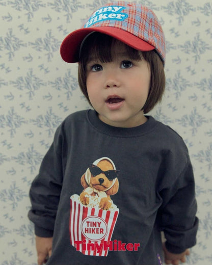 Autumn Check Ball Cap [tinyhiker]（2026AW） 9