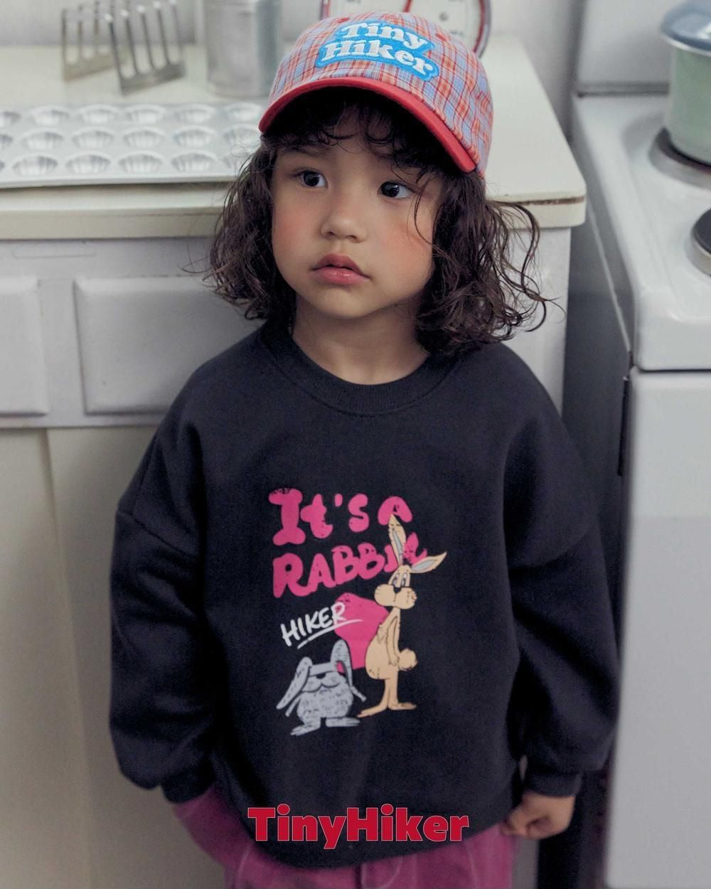 Autumn Check Ball Cap [tinyhiker]（2026AW） 13