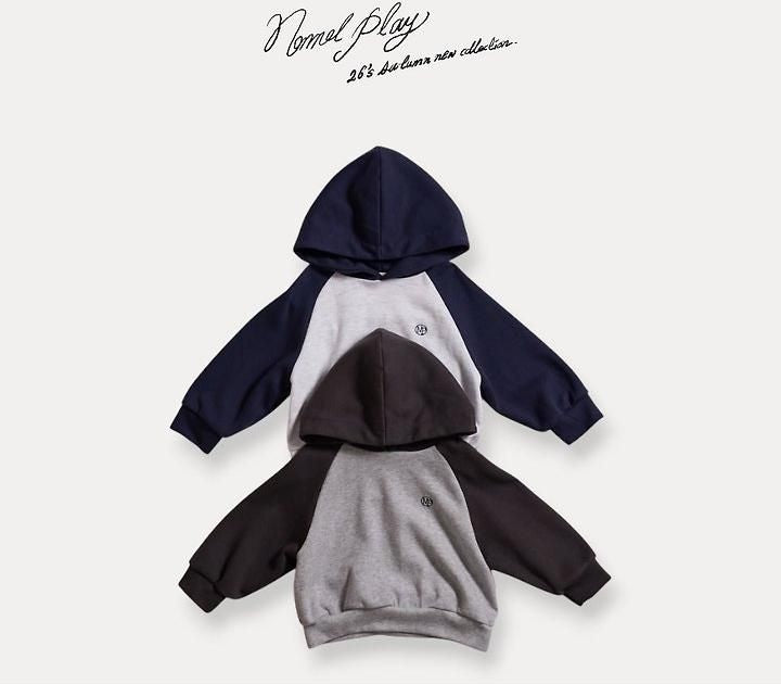 Basic Reversible Hoodie [NORMAL PLAY]（2026AW） 5