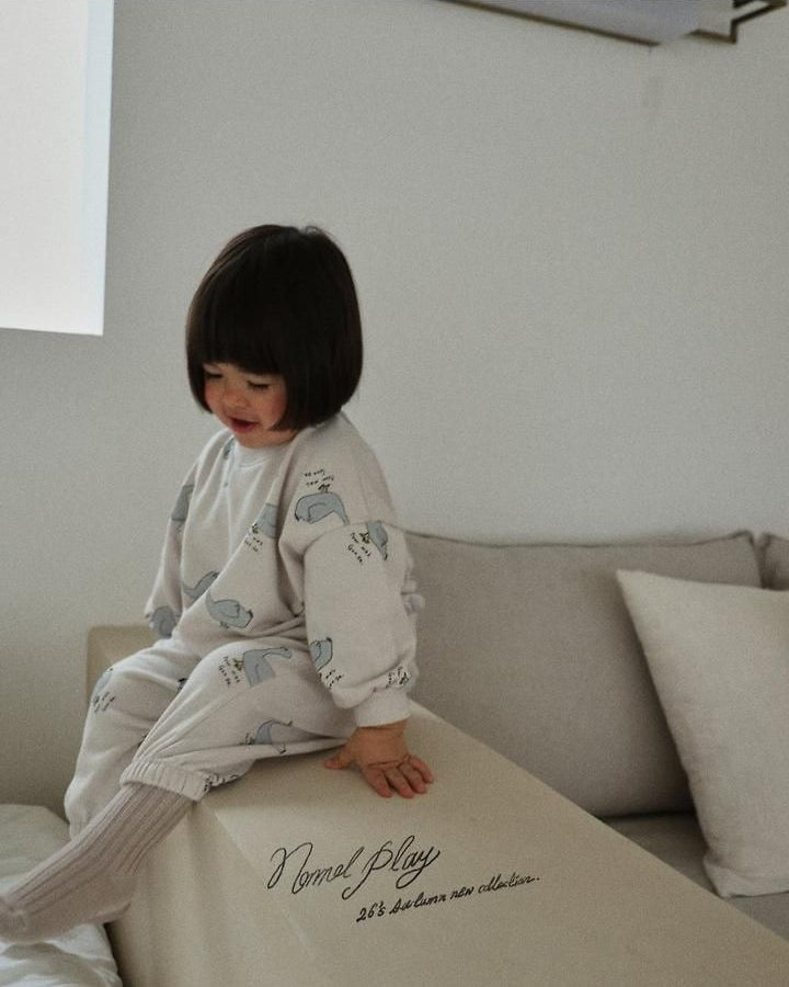 Normal Duck All-Over Print Sweatshirt [NORMAL PLAY]（2026AW） 21