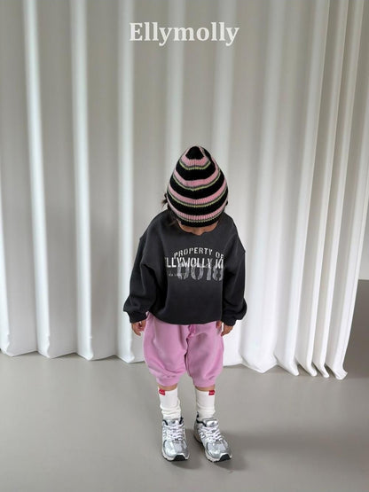 Vintage Sweatshirt [Ellymolly]（2026AW） 11