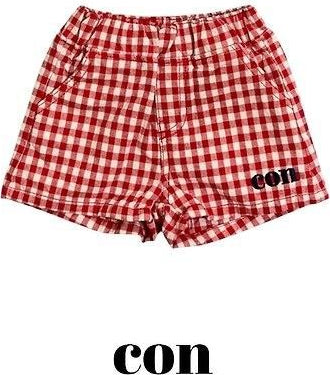 Check Shorts [con]（2026AW） 4