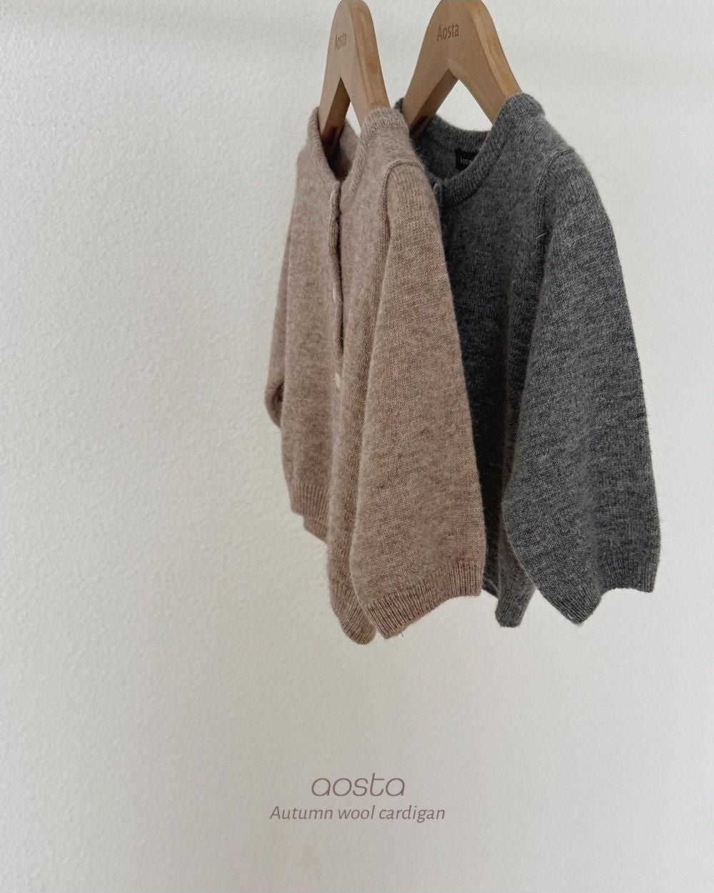 Knit Cashmere Cardigan [Aosta]（2026AW） 4