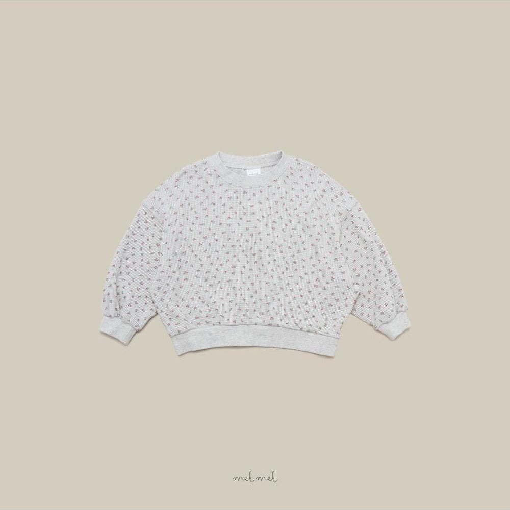 Print Waffle Sweatshirt [melmel]（2026AW） 15