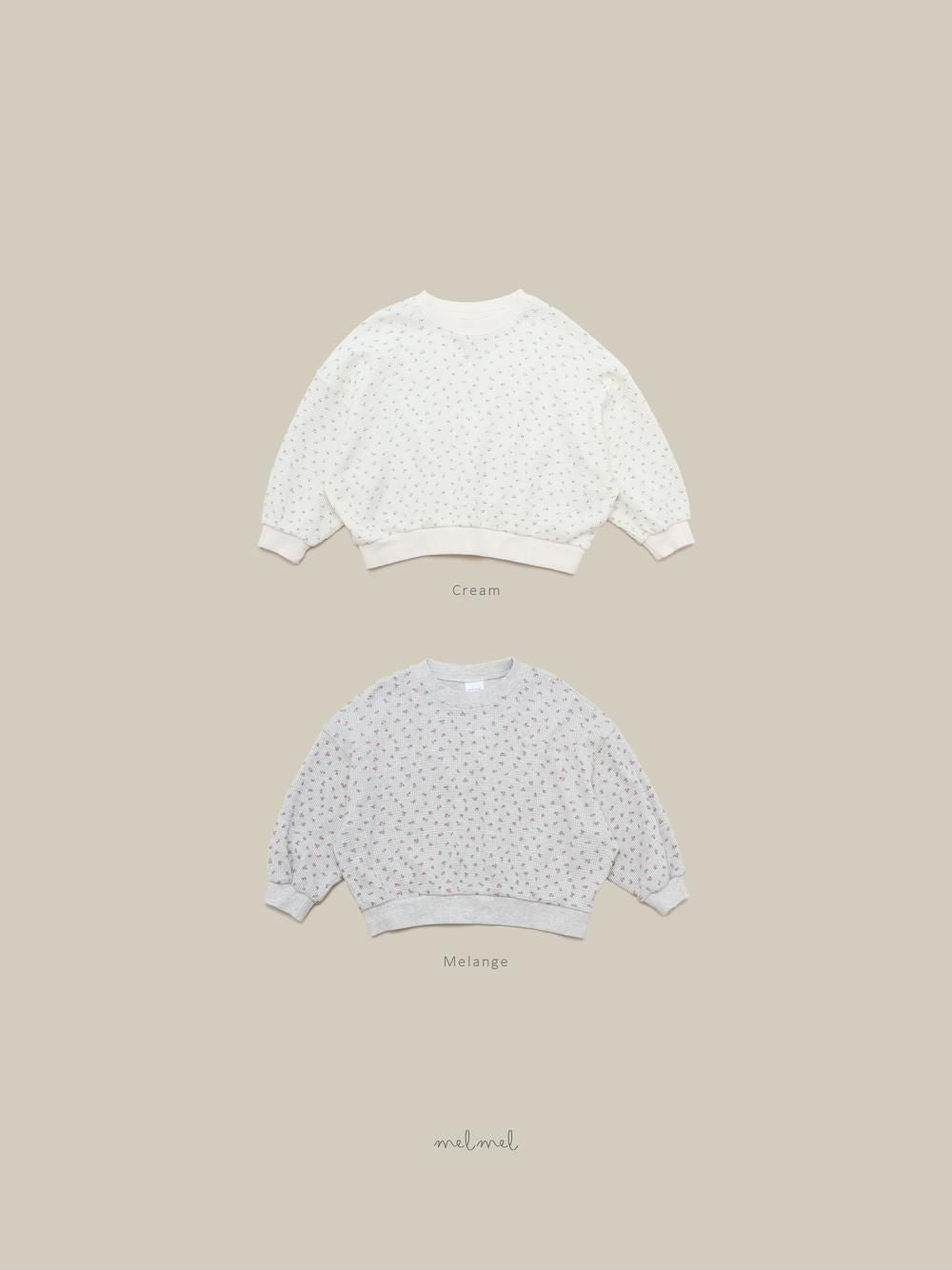 Print Waffle Sweatshirt [melmel]（2026AW） 16