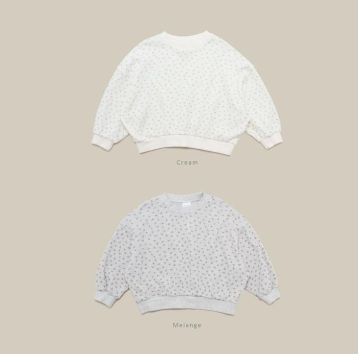 Print Waffle Sweatshirt [melmel]（2026AW） 1